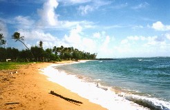 Beautiful Kapaa Beach looking north